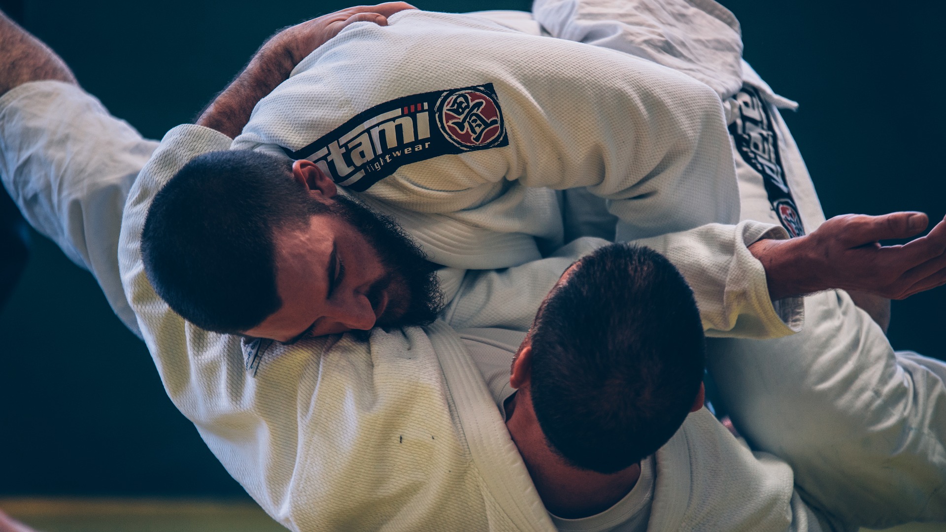 Two advanced practitioners showing jiu-jitsu techniques.